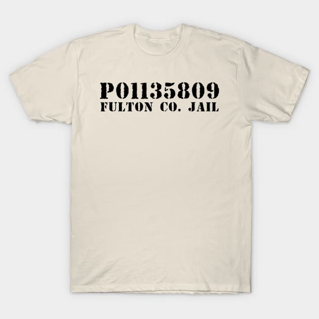 P01135809 Fulton County T-Shirt by brkgnews